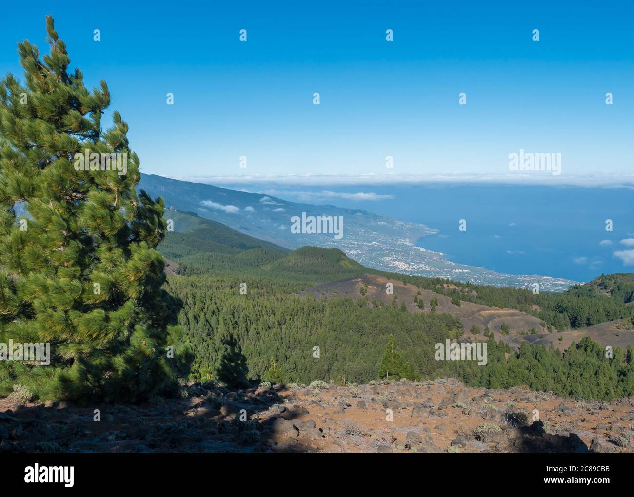 Volcanic landscape with lush green pine trees, colorful volcanoes and ...