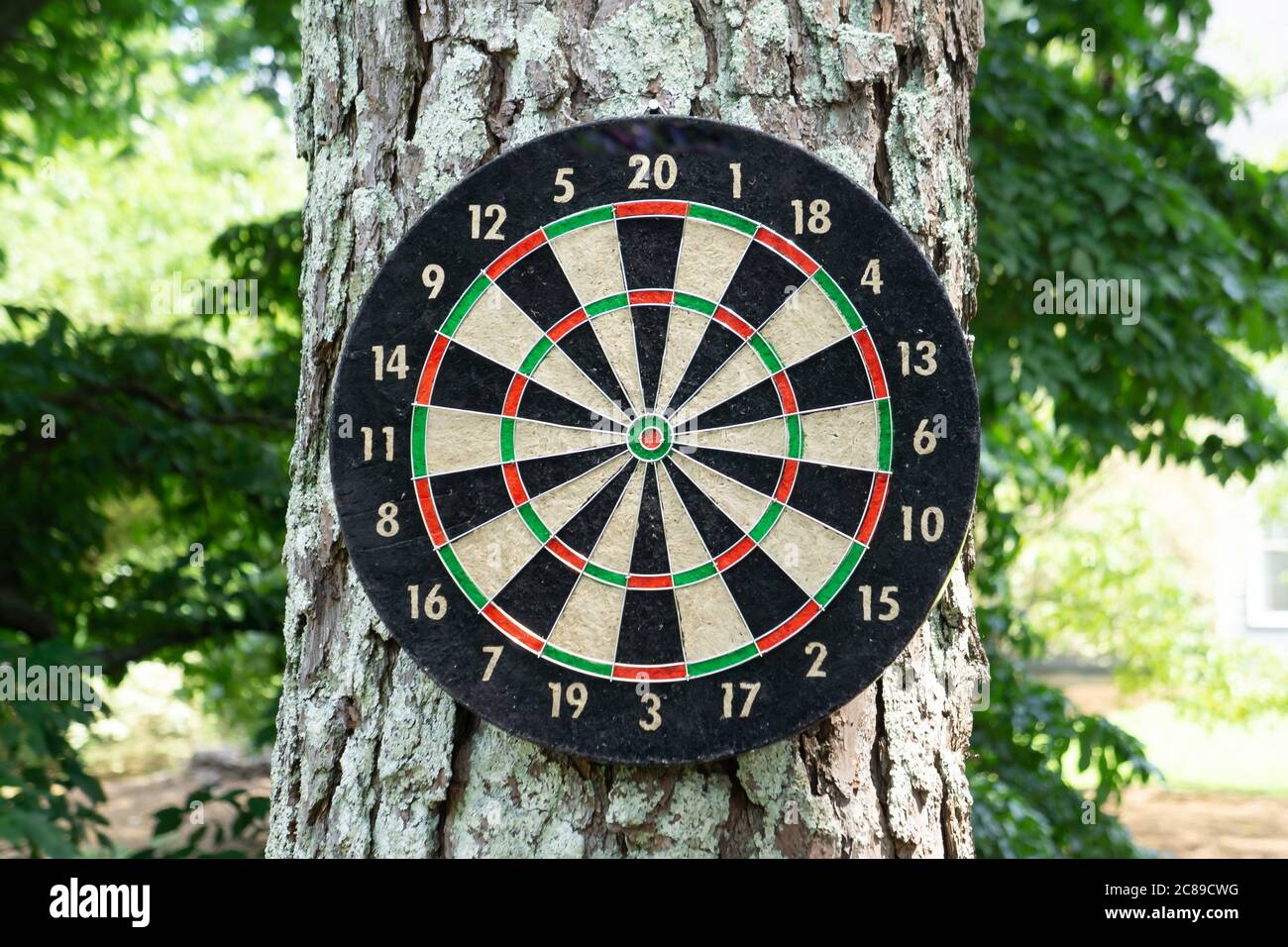 Dartboard hanging on a tree in the park Stock Photo Alamy