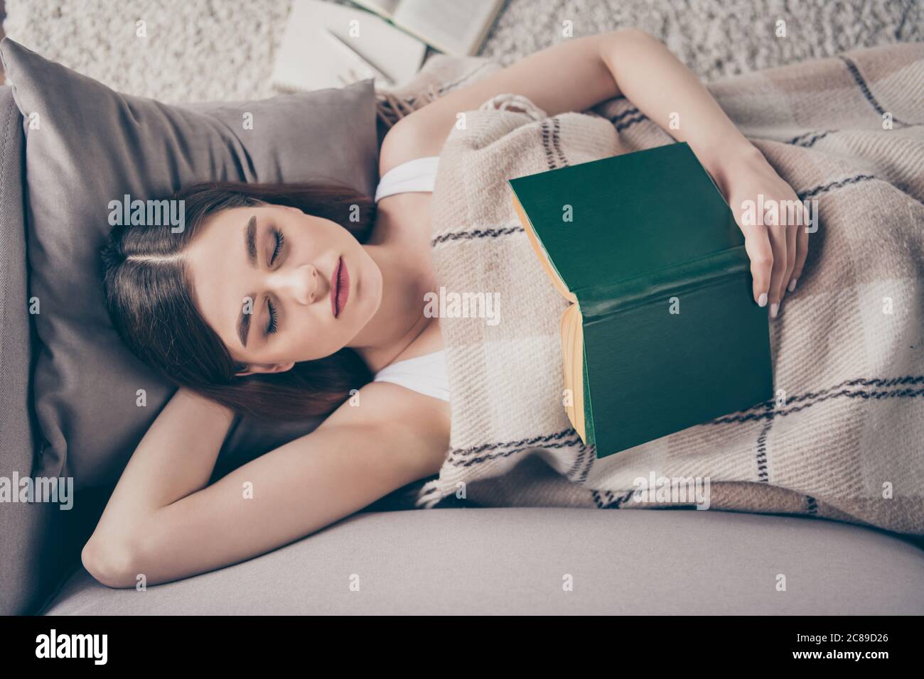 Late evening reading book concept. High angle view photo of peaceful girl hold poetry textbook sleep cover close checkered plaid blanket lie divan in Stock Photo