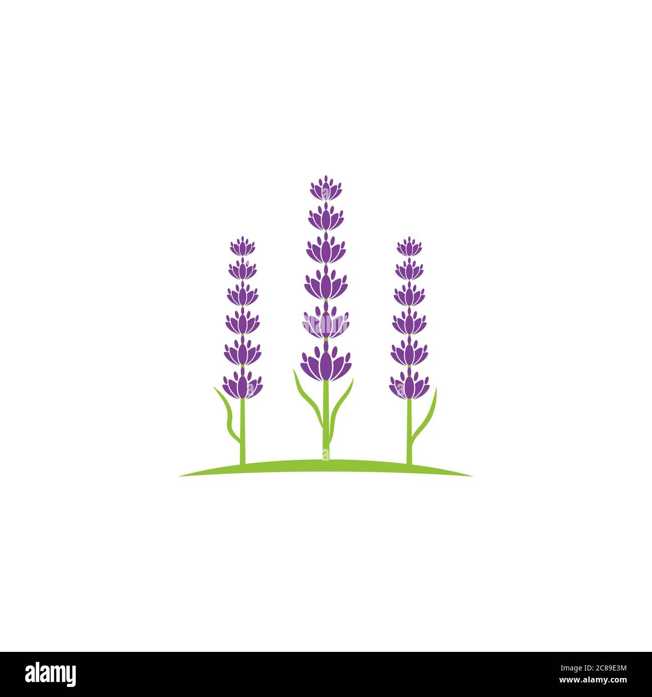 Lavender flower Vector icon illustration design Template Stock Vector
