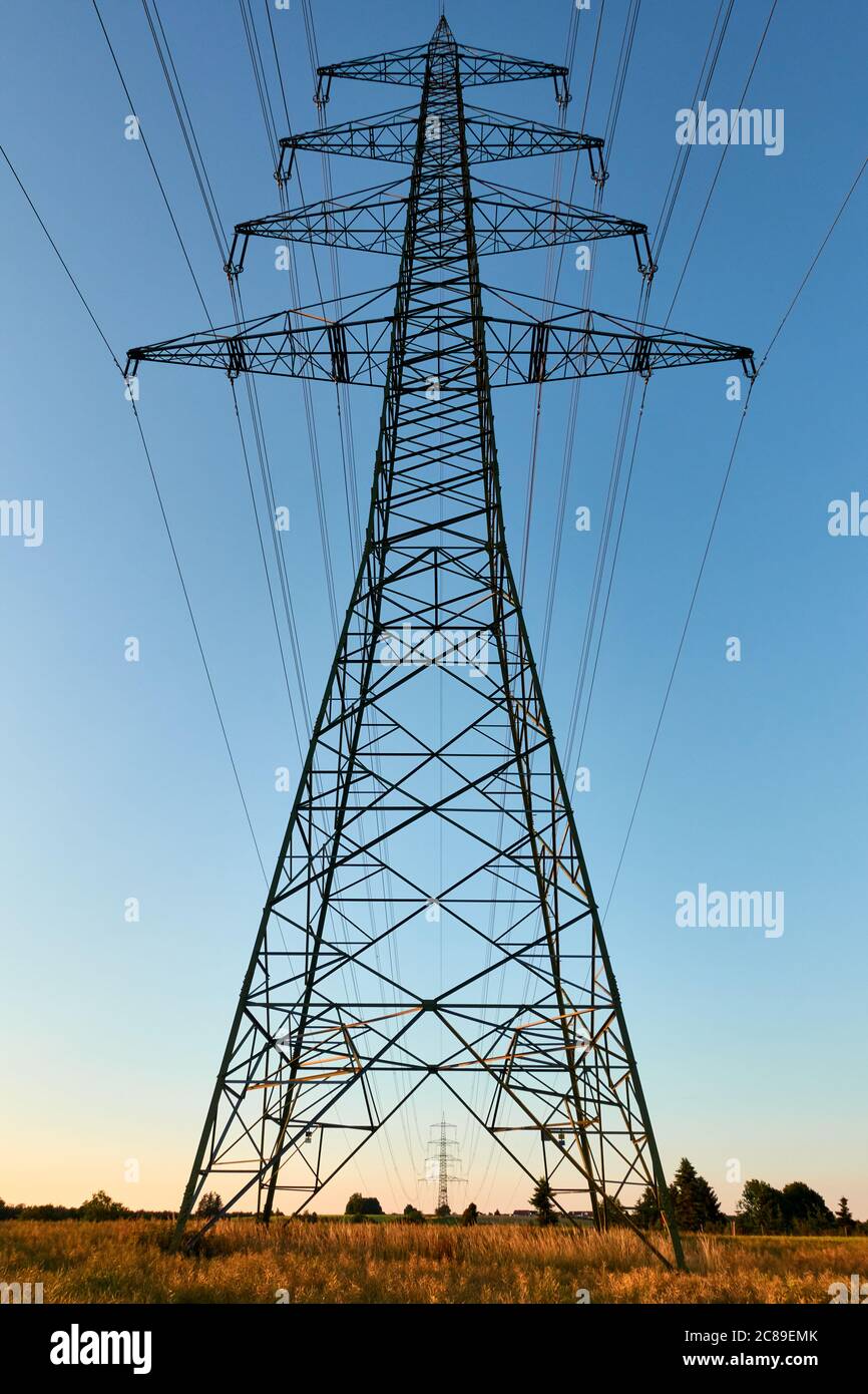 Large Electricity pylon also overhead line pylon stands in the grain field, green trees in the background, picture is symmetrically aligned. Germany. Stock Photo