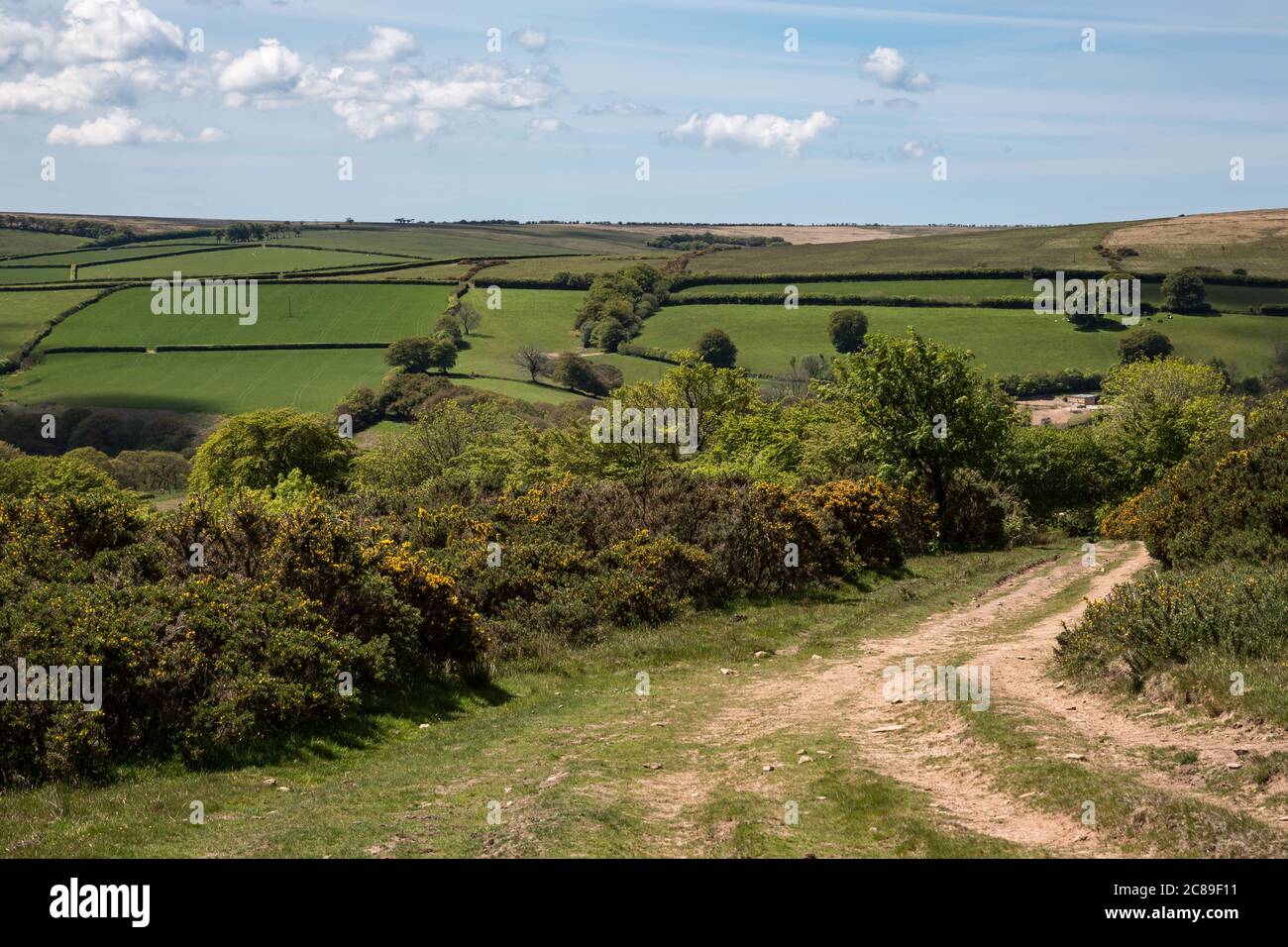 Exmoor landscape with open moorland divided by hedges Stock Photo