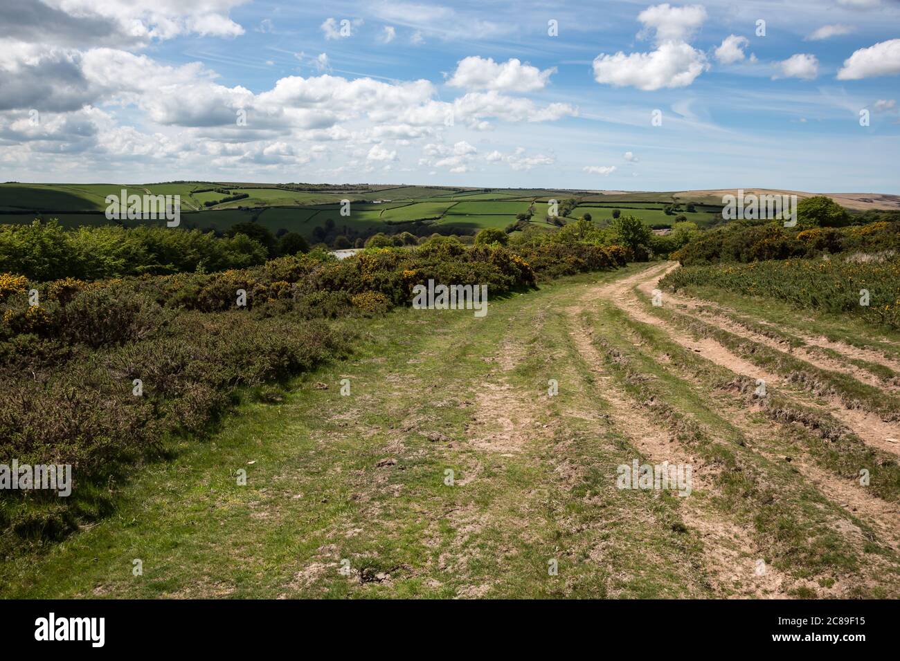 Exmoor landscape with open moorland divided by hedges Stock Photo