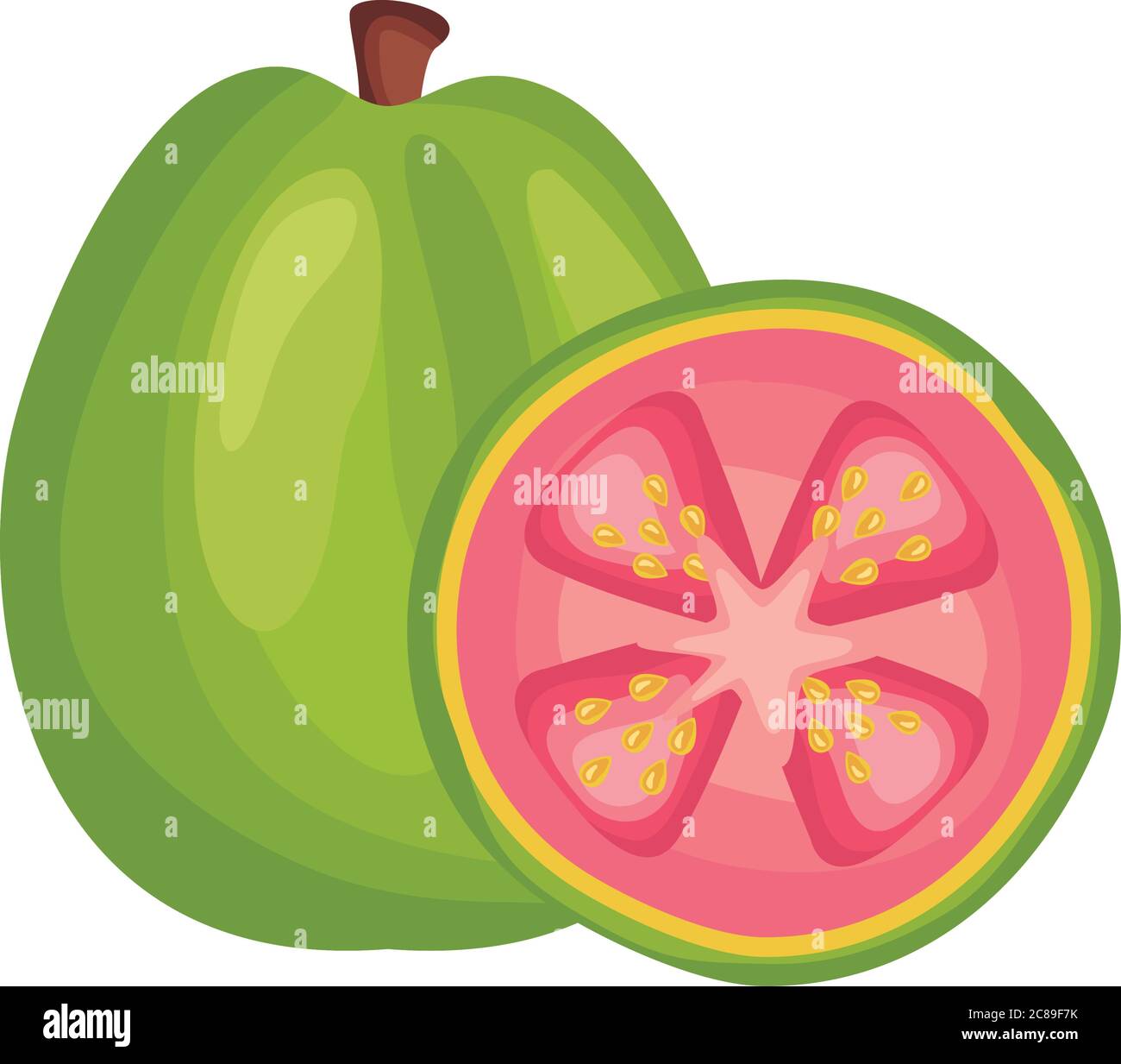 guava fresh delicious fruit detailed style icon vector illustration design Stock Vector