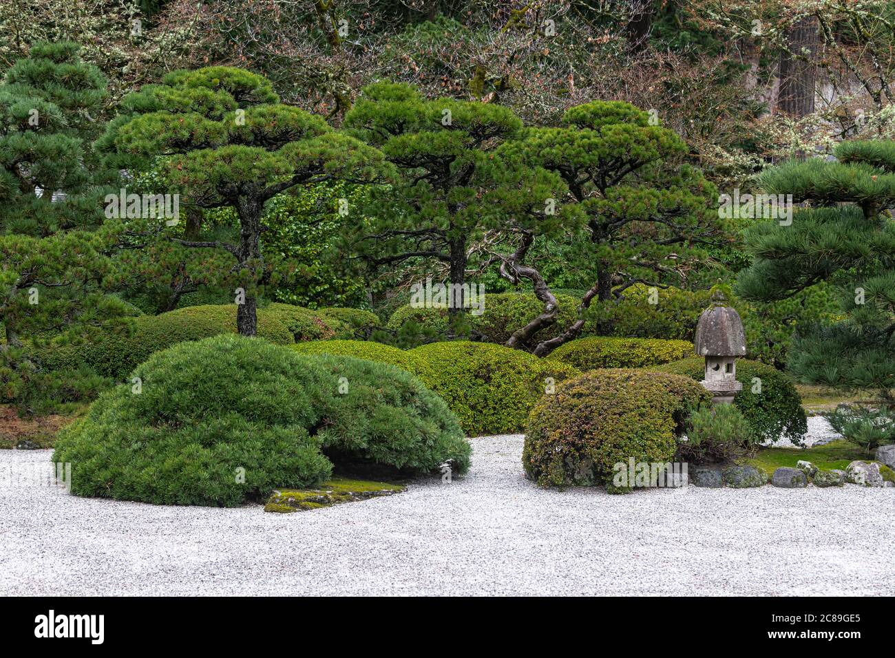 Trees in a Japanese Garden, Portland, OR Stock Photo