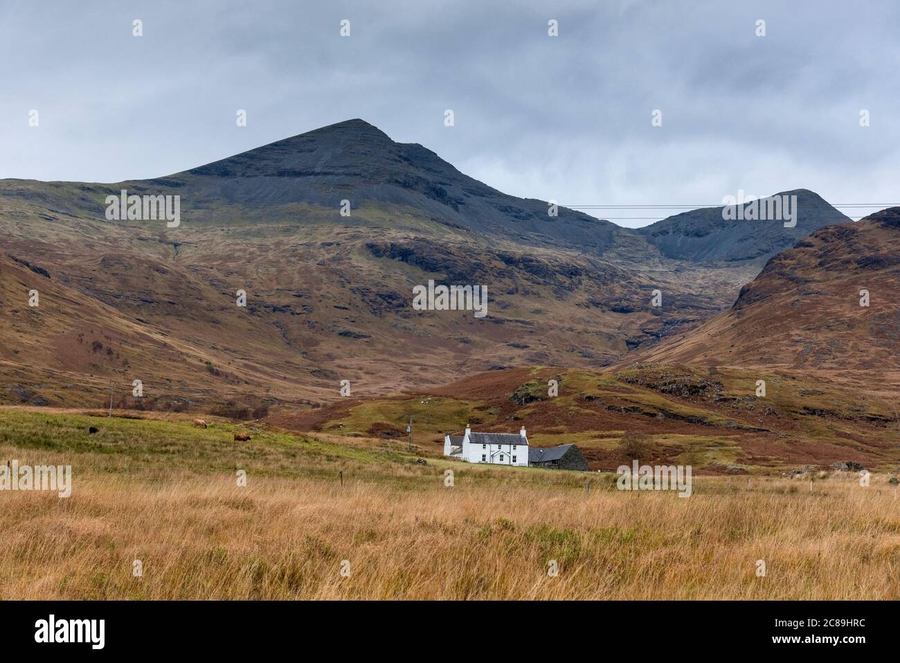 Arvergnish farm with Ben More and A'Chioch in the background, Isle of Mull, Mull, Scotland. Stock Photo