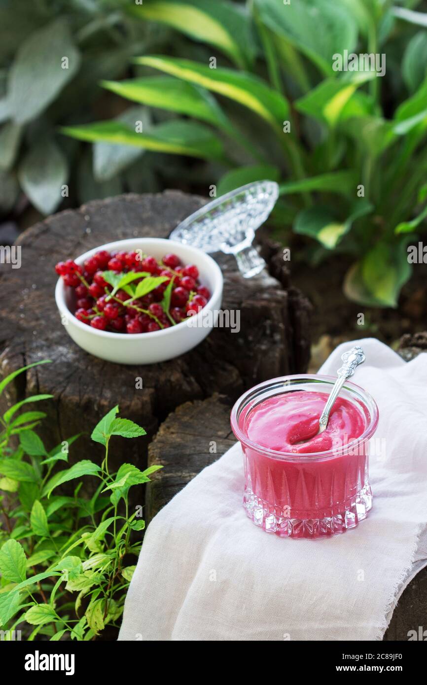 Red currant custard and currant berries on old stumps in the garden. Stock Photo
