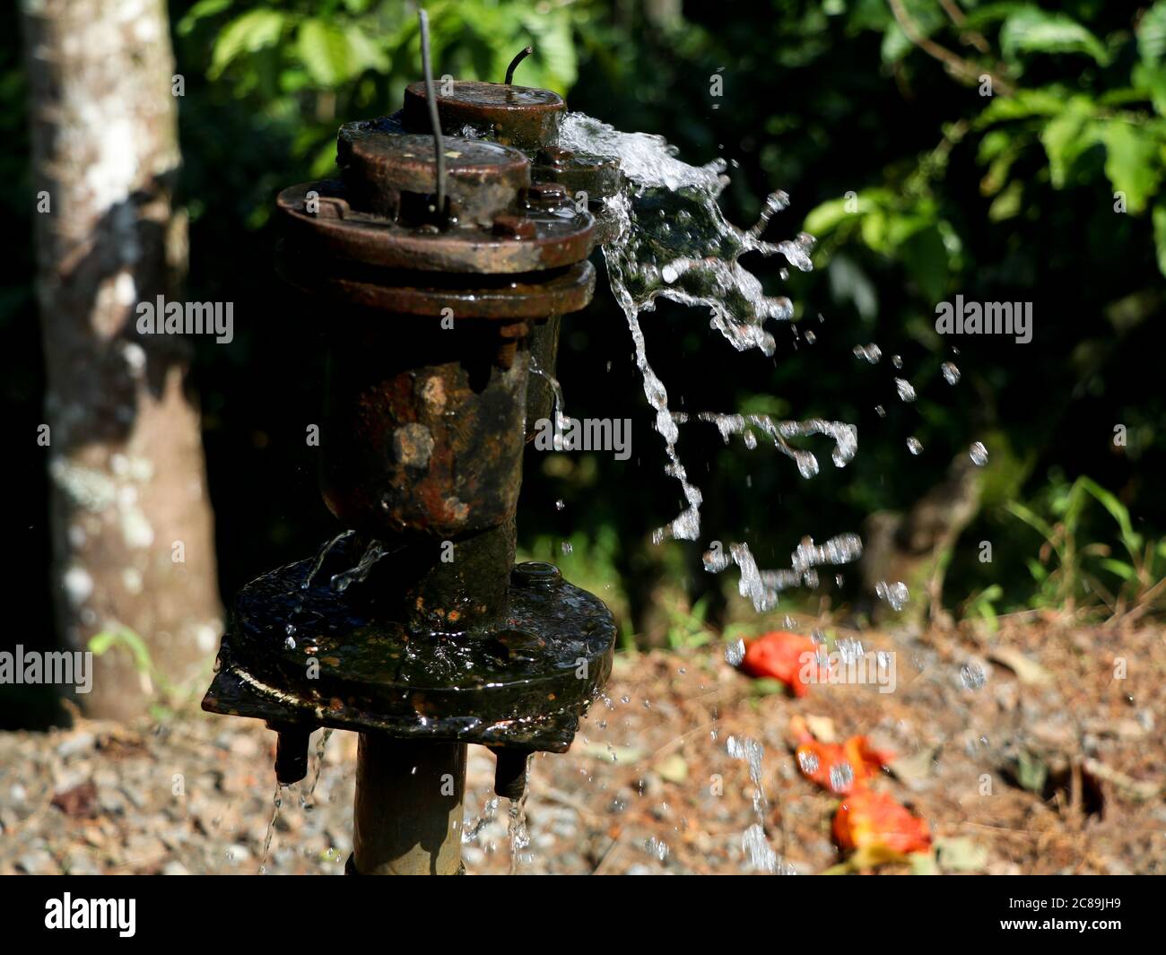 Old public water supply pipe leaking on the road side, wasting water