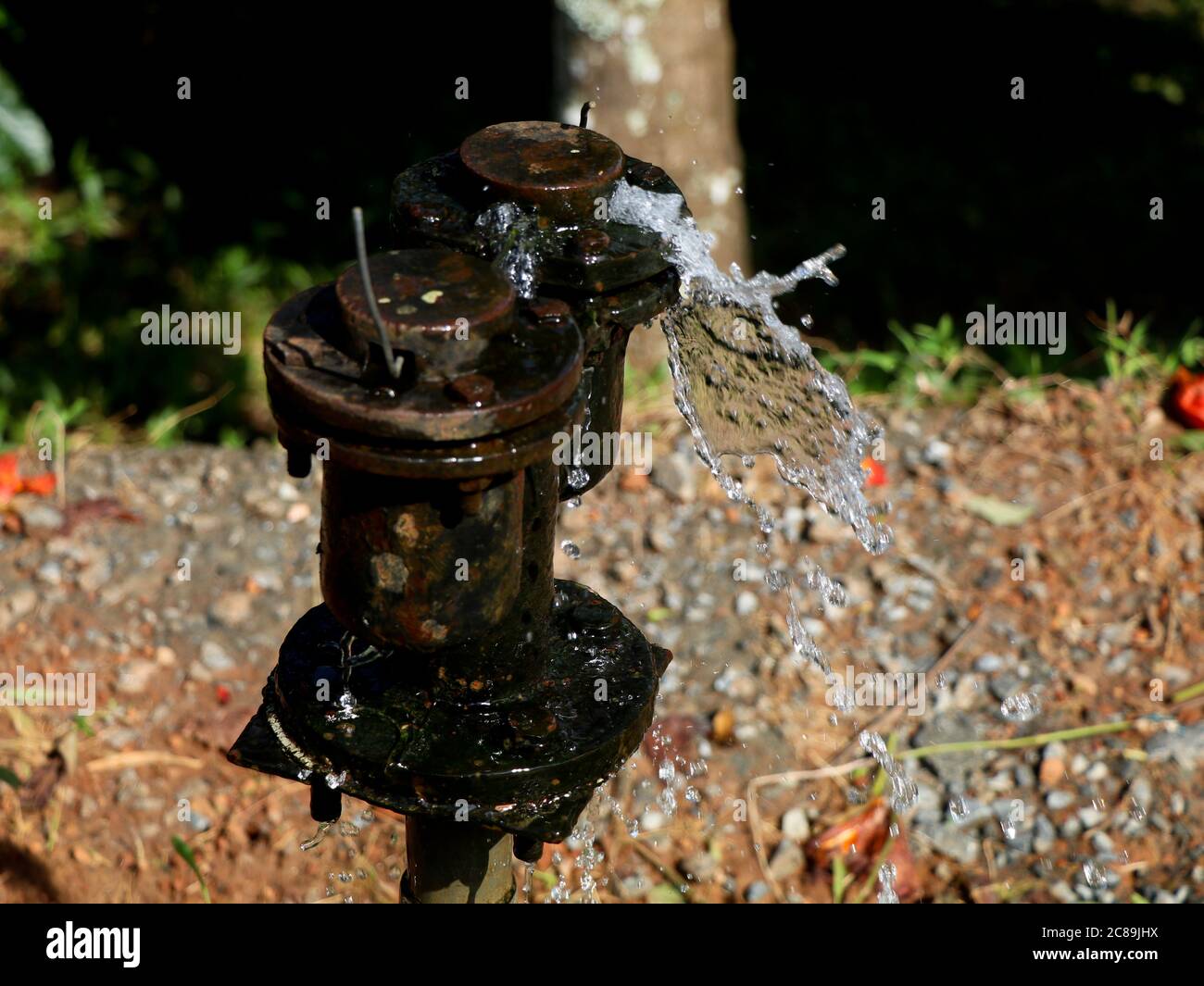 Old public water supply pipe leaking on the road side, wasting water Stock Photo