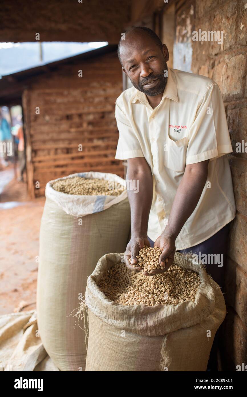 A farmer quality checks sacks of dried coffee beans before they're carried of for roasting and export in Mbale, Uganda, East Africa. Stock Photo