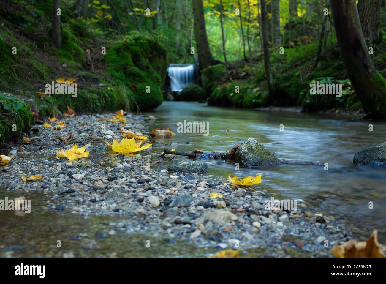 Stream woodland autumn hike hi-res stock photography and images - Alamy