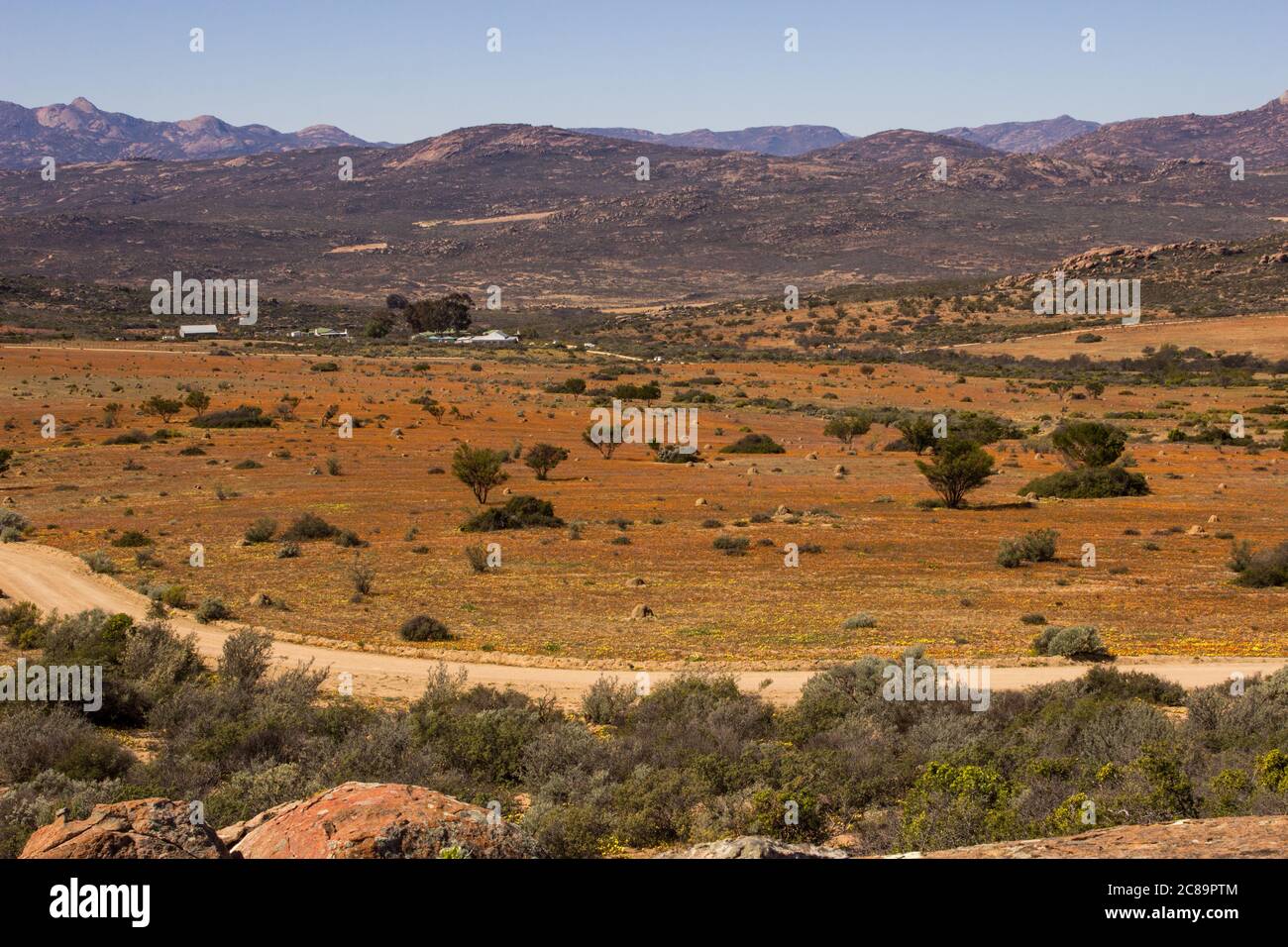 View from the Roof of Namaqualand over a field of wildflowers in the springtime in the Namaqua National Park of South Africa Stock Photo