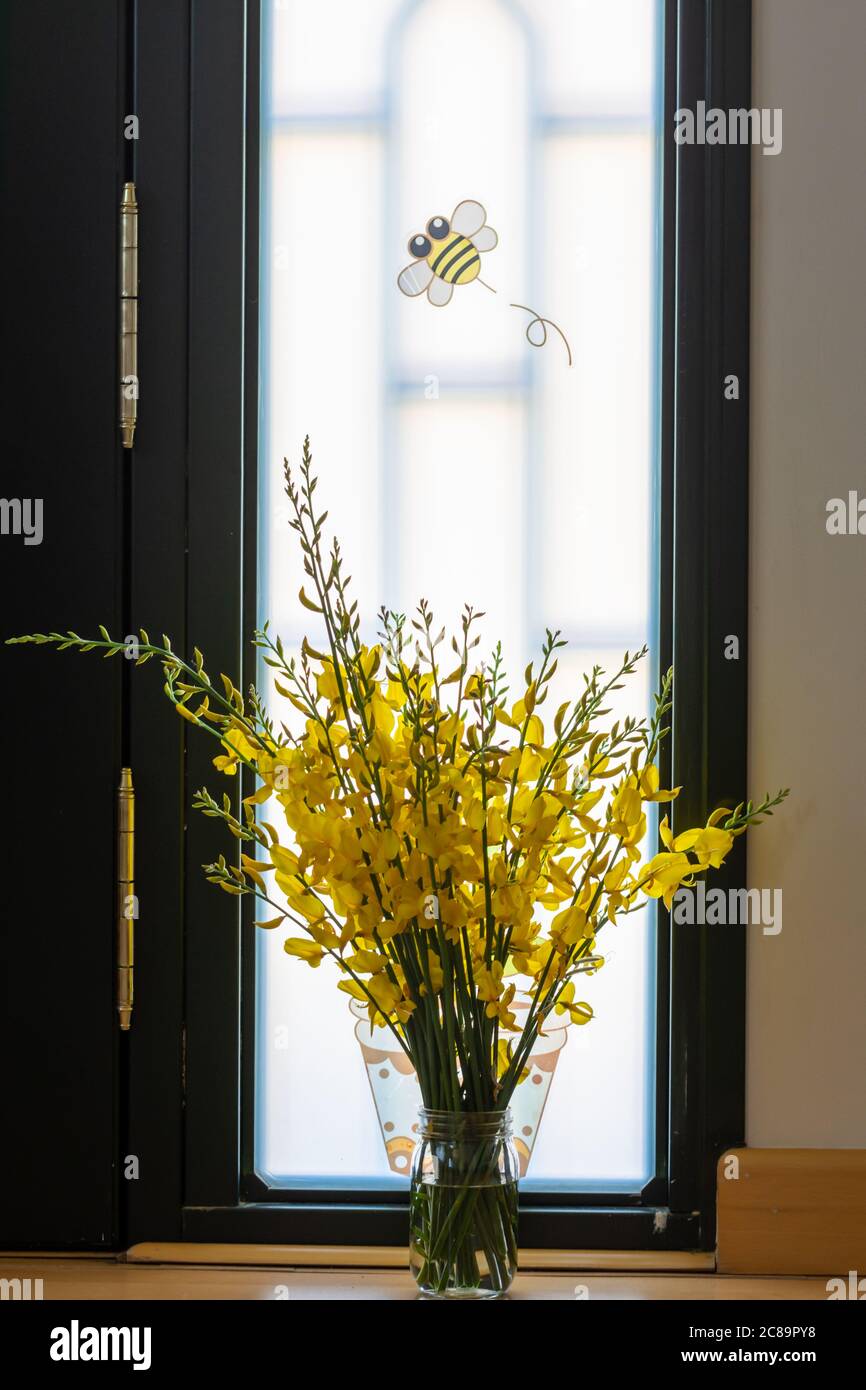 Interior decoration: Vase with yellow genista flowers next to the front door of the home Stock Photo