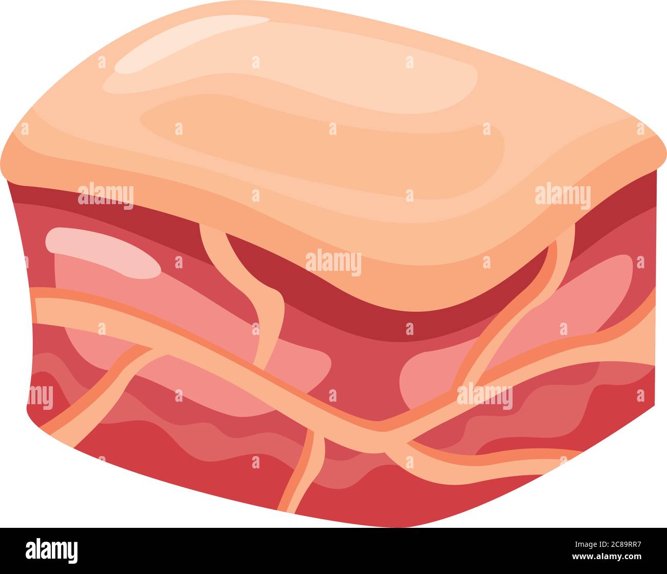 Pig Meat Cut Drawing High Resolution Stock Photography and Images Alamy