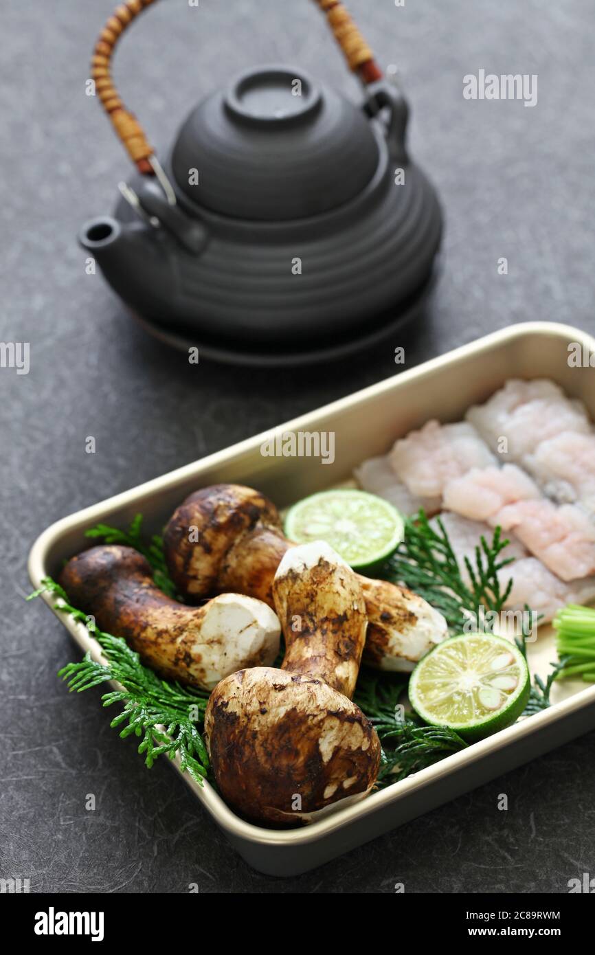 dobin mushi (Japanese cuisine) steamed matsutake mushroom and pike