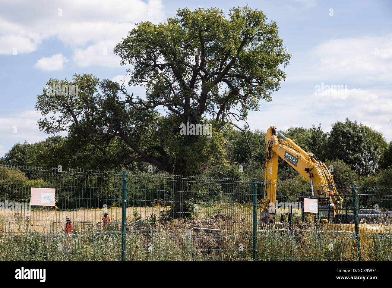 Harefield Uk 22 July 2020 Hs2 Workers Monitor A Mature Tree