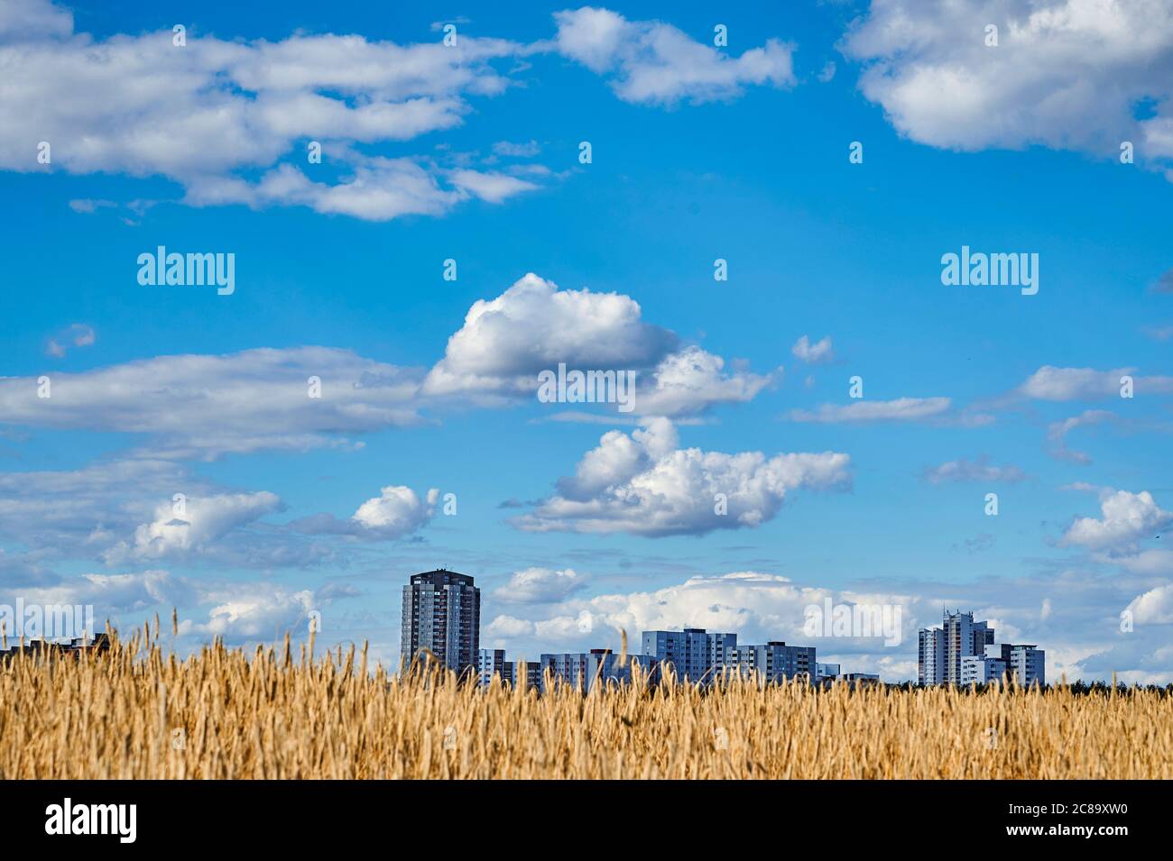 View over a field to the satellite city Gropiusstadt in Berlin-Neukoelln illuminated by the sun under a blue and cloudy sky. Stock Photo