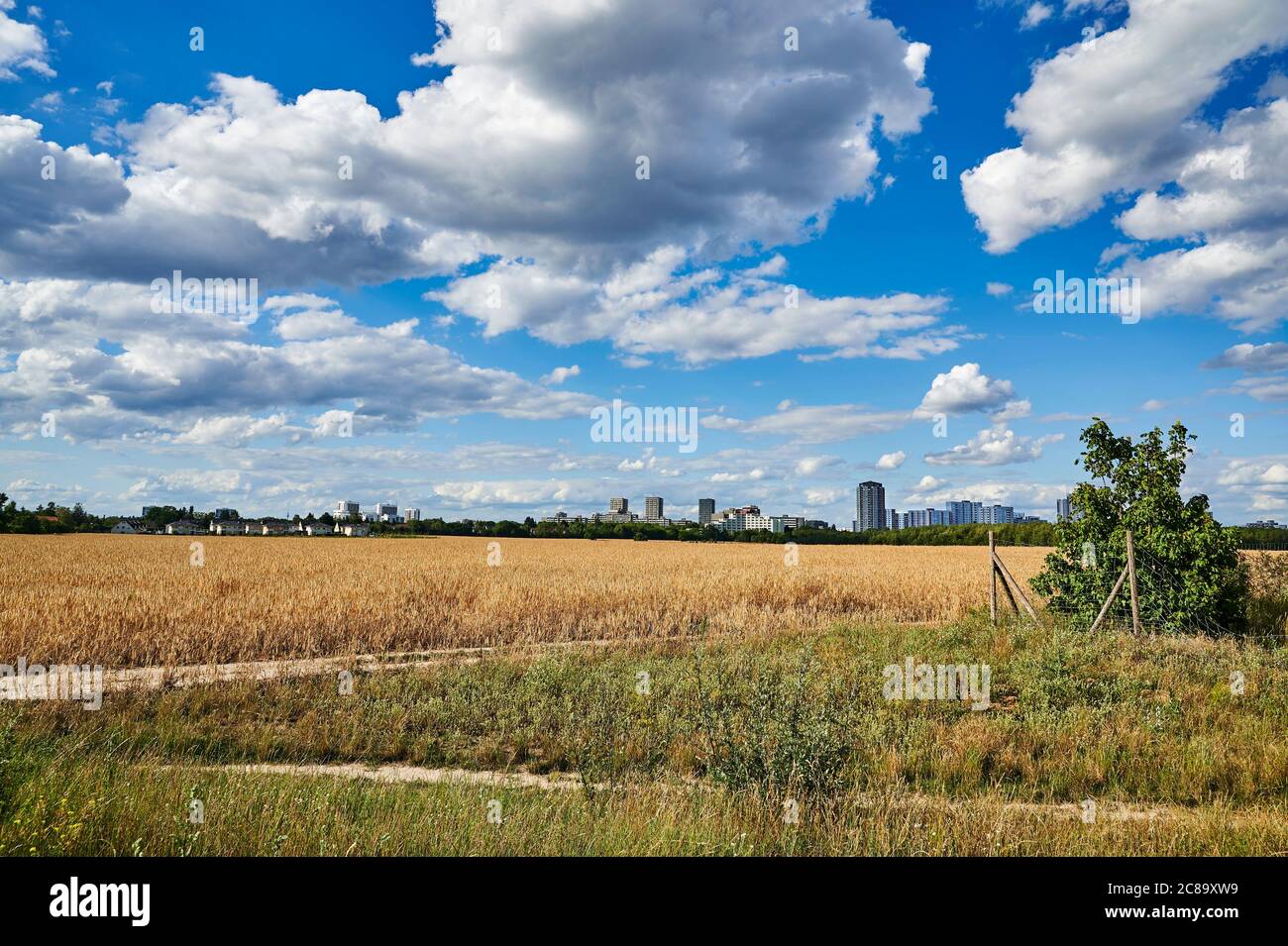 View over a field to the satellite city Gropiusstadt in Berlin-Neukoelln illuminated by the sun under a blue and cloudy sky. Stock Photo