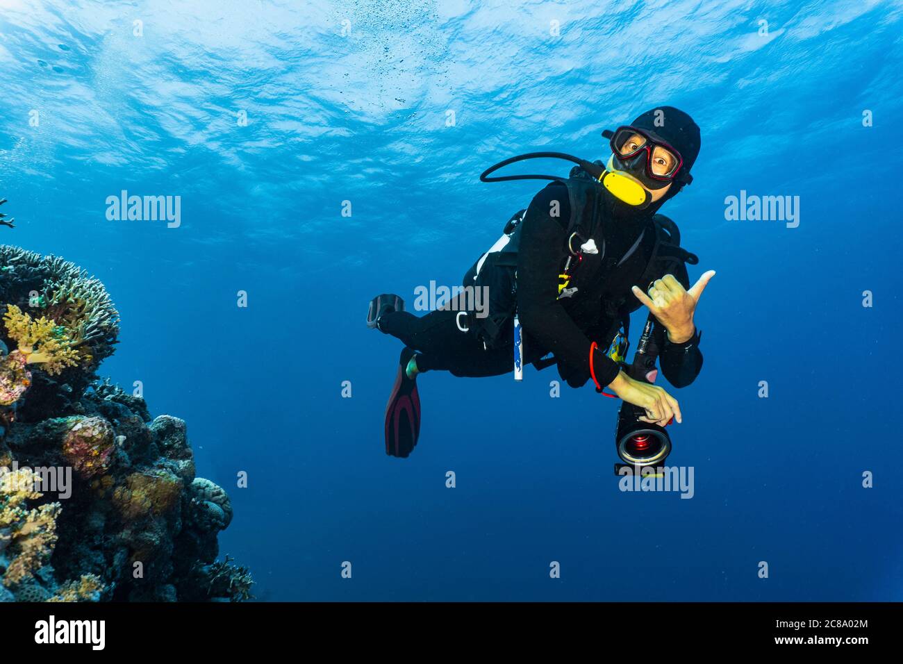 Diver Aquanaut High Resolution Stock Photography And Images Alamy Diver Aquanaut High Resolution Stock Photography And Images Alamy