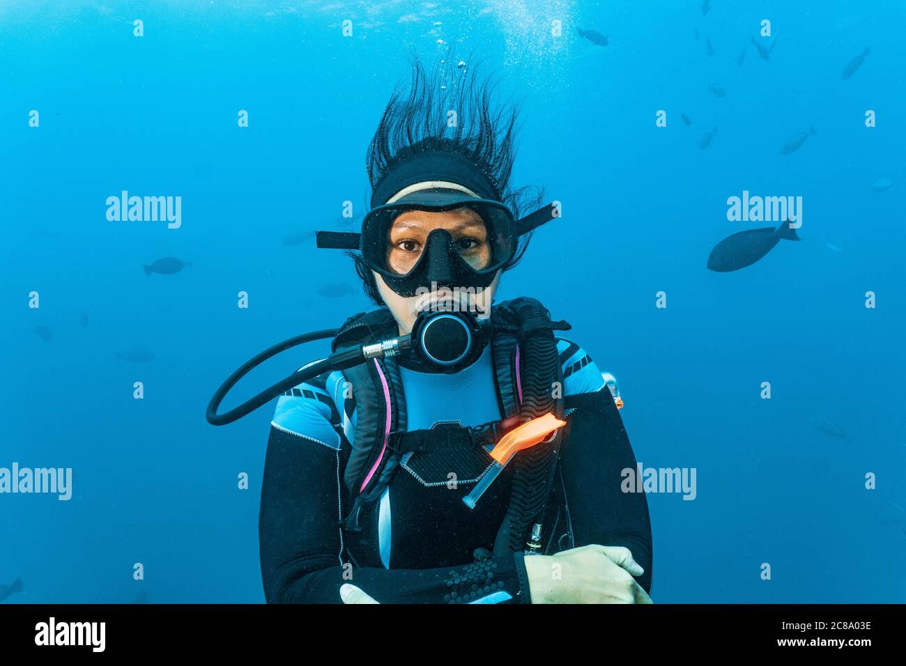 diver looking at camera at Great Barrier Reef Stock Photo Alamy