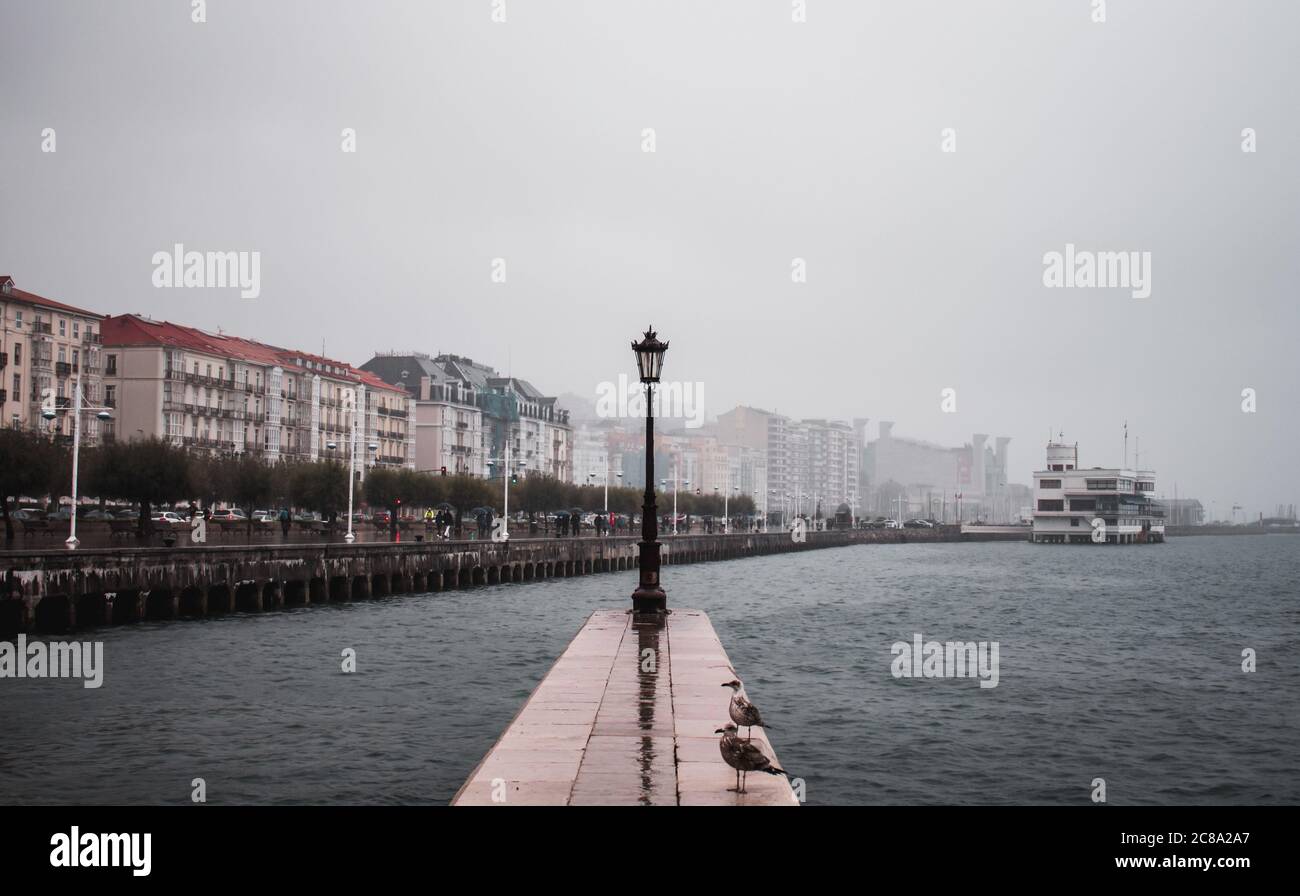 Street light in the seaport of Santander with seagulls and fog. Stock Photo