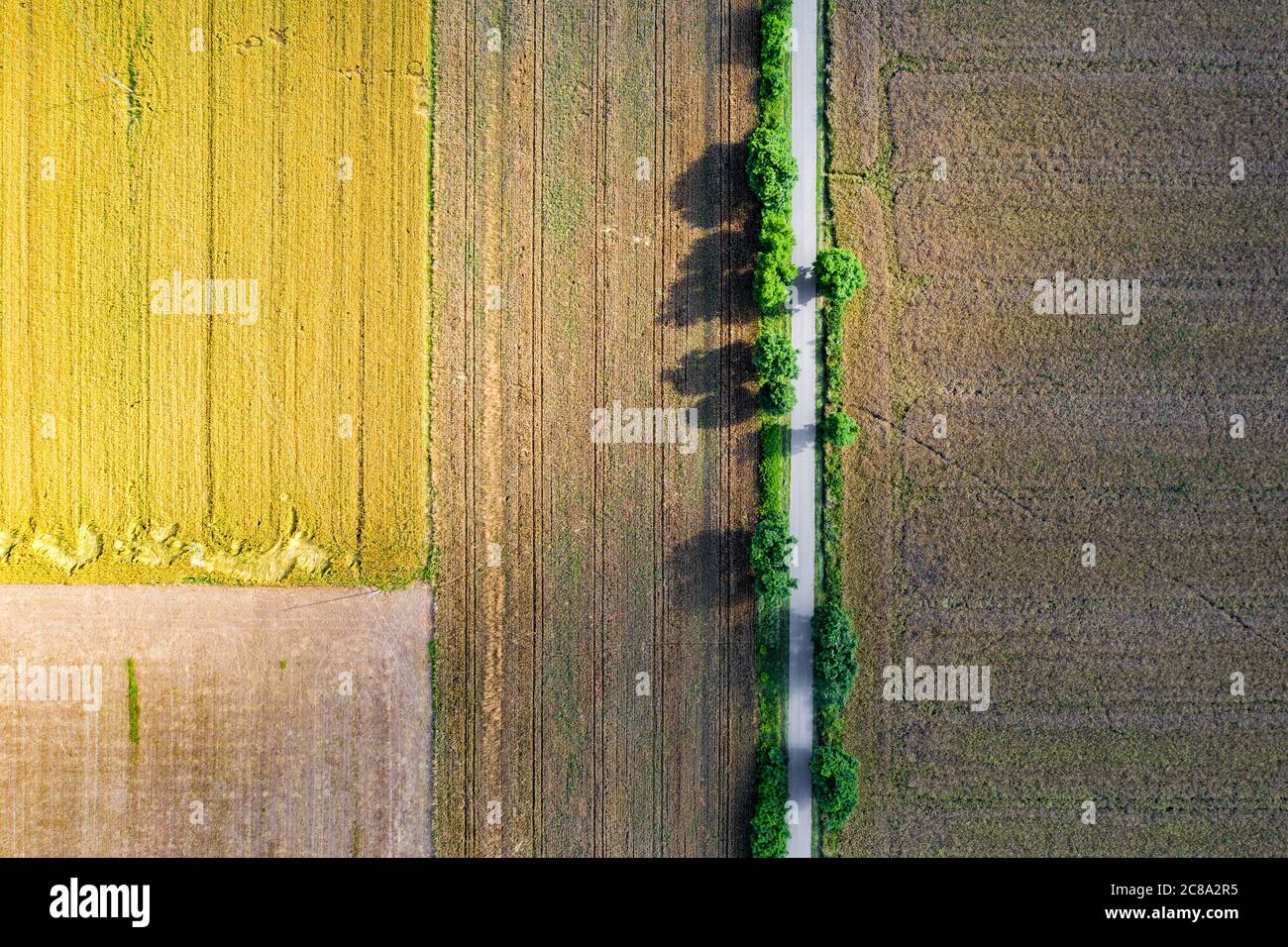 topdown road on spring Stock Photo