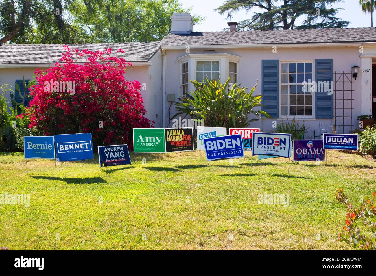 Twelve Lawn Signs Supporting all 2020 Democrats Stock Photo