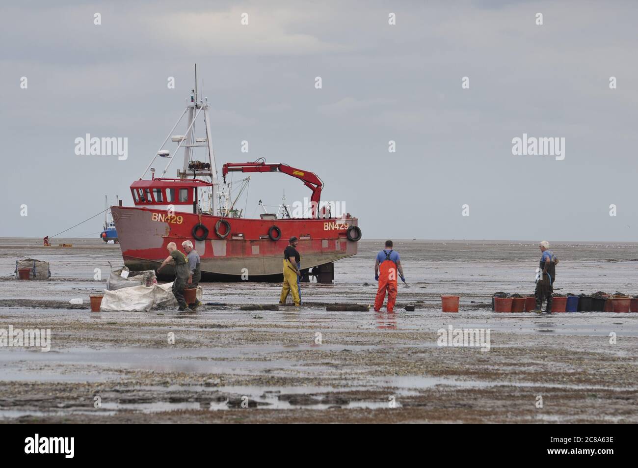 Commercial fishing boats from Boston and and King's Lynn hand-raking