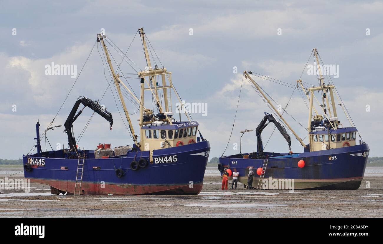 Commercial fishing boats from Boston and and King's Lynn hand-raking  cockles in The Wash, a large inlet on England's east coast Stock Photo -  Alamy