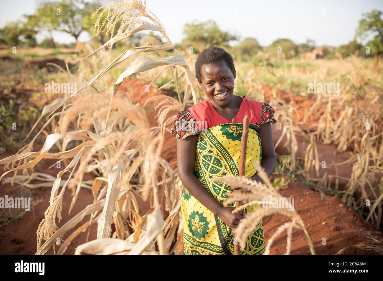 Mary Muinde (20), Regina Mwangangi's daughter-in-law, stands in the family's maize fields on their farm in Makueni County, Kenya. LWR Isaiah 58 Projec Stock Photo
