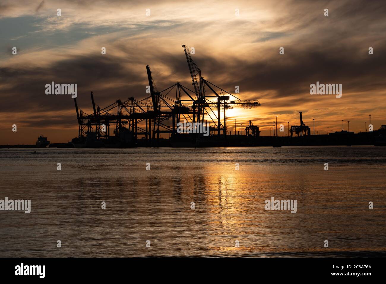 Silhouettes of ship to shore cranes at sunset.. Stock Photo