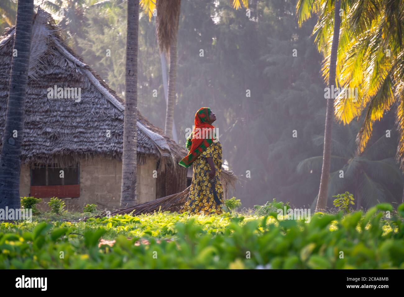 Zanzibar, Paje - January 2020: Muslim African Woman Walking near her statch roofed Hut between Palm Trees in the Garden at Evening Time Stock Photo