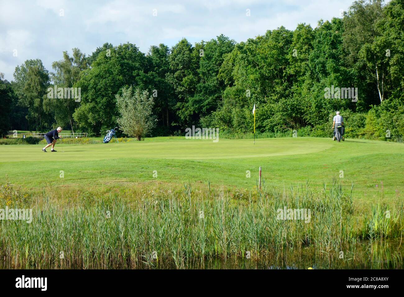 de compagnie hires stock photography and images Alamy