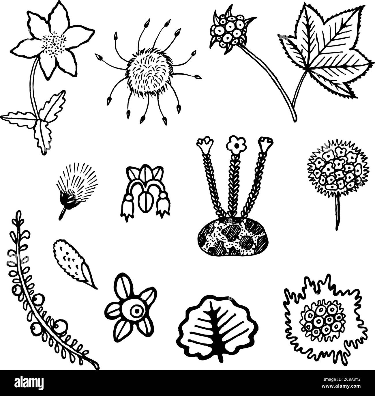North tundra plant element collection Stock Vector