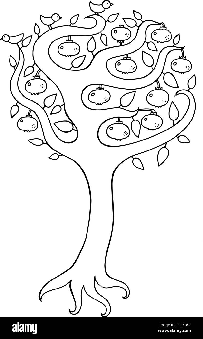 Pomegranate tree kids illustration. Black and white doodle art Stock