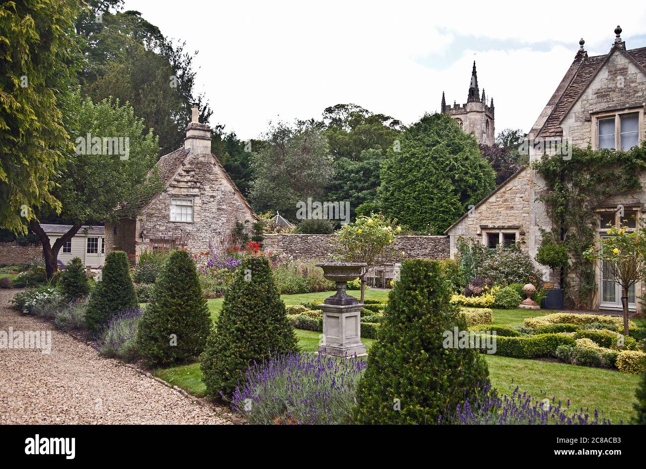 Cottage garden roses lavender hi-res stock photography and images - Alamy