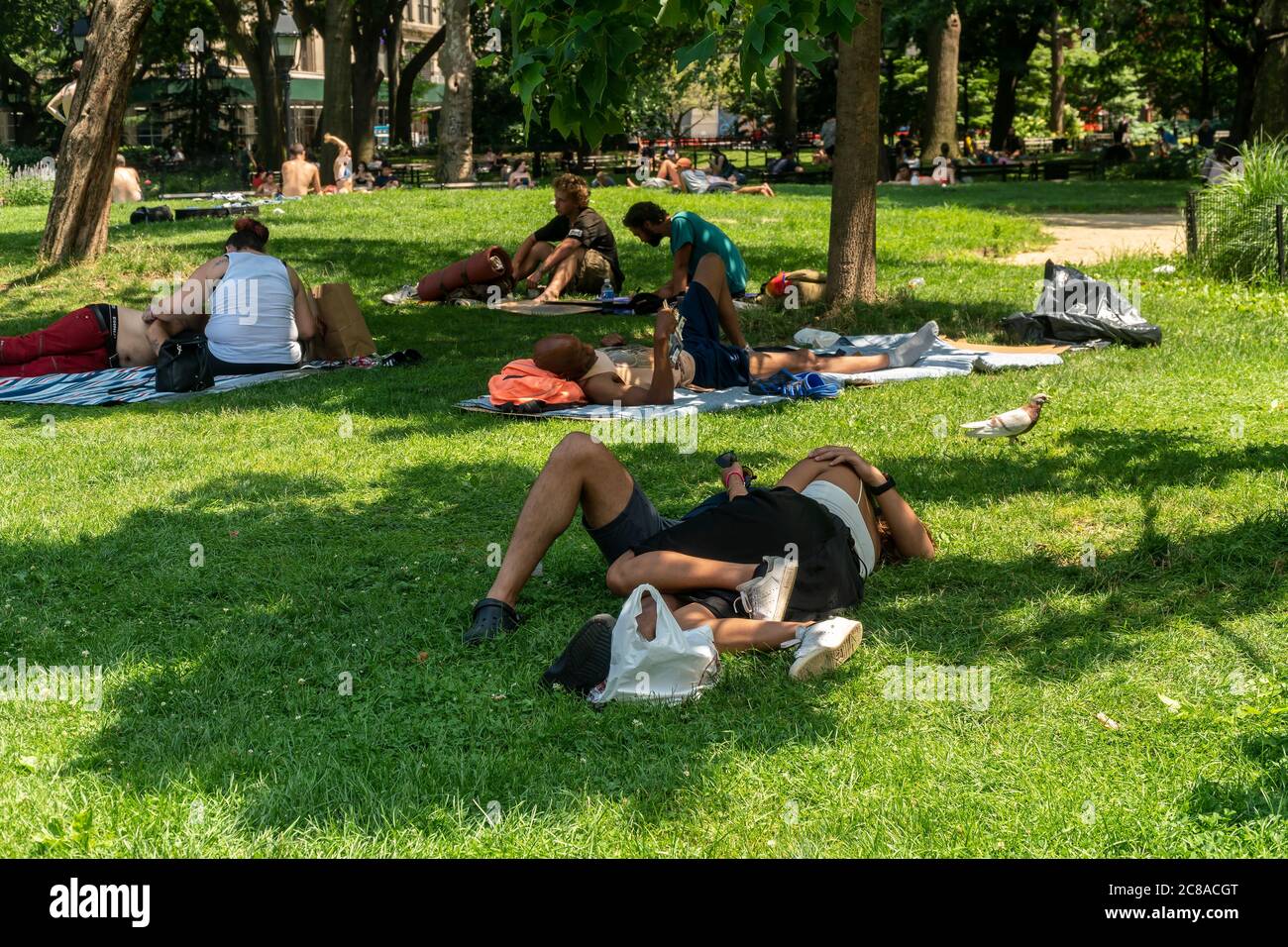 New Yorkers and visitors on the lawn in Washington Square Park in Greenwich Village in New York on Sunday, July 19, 2020. The city is suffering through min-90s temperatures with Monday’s expected “real-feel” temperature passing 100 degrees. . (© Richard B. Levine) Stock Photo
