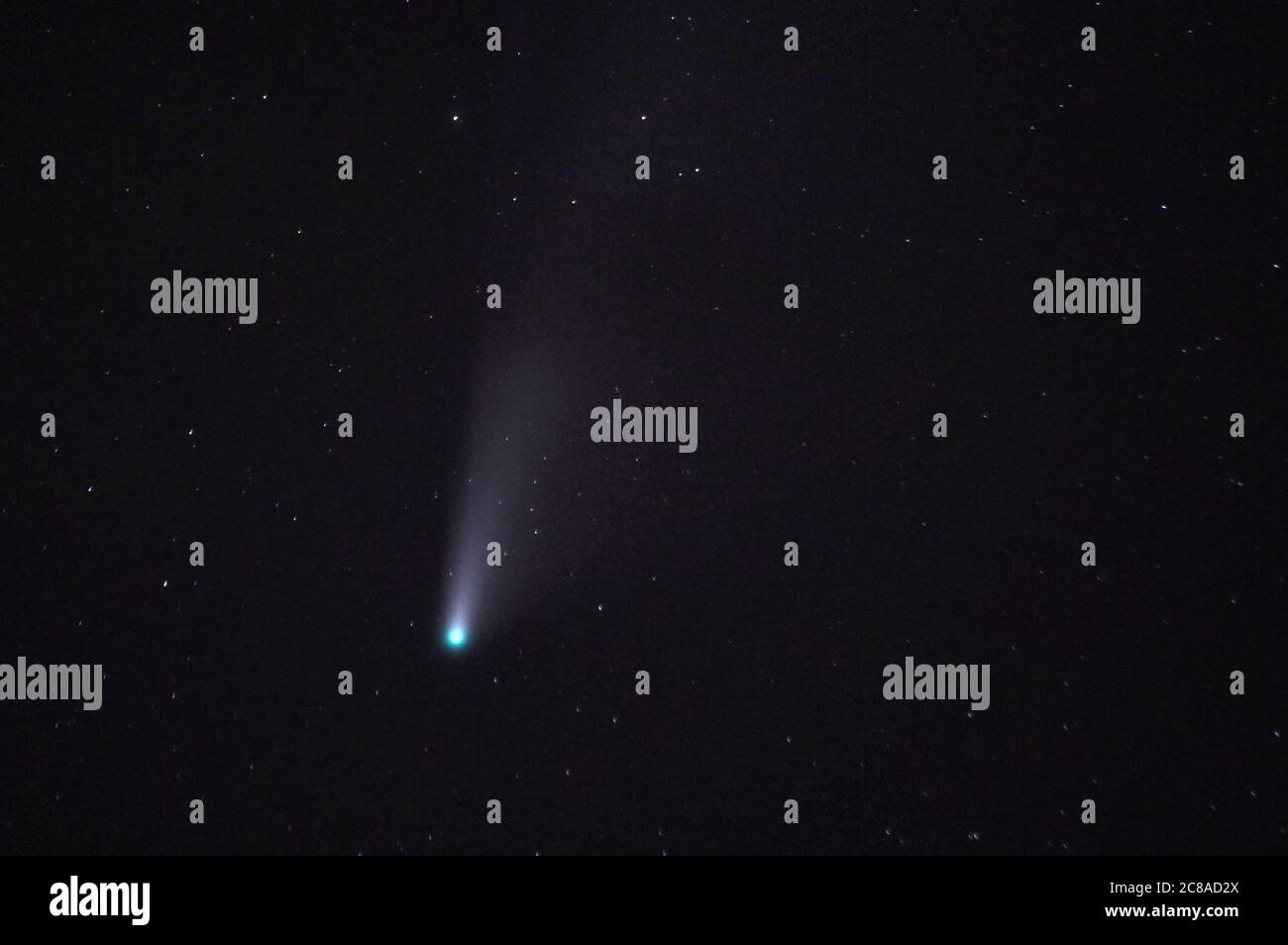 Comet NEOWISE from Flagstaff, Arizona Stock Photo