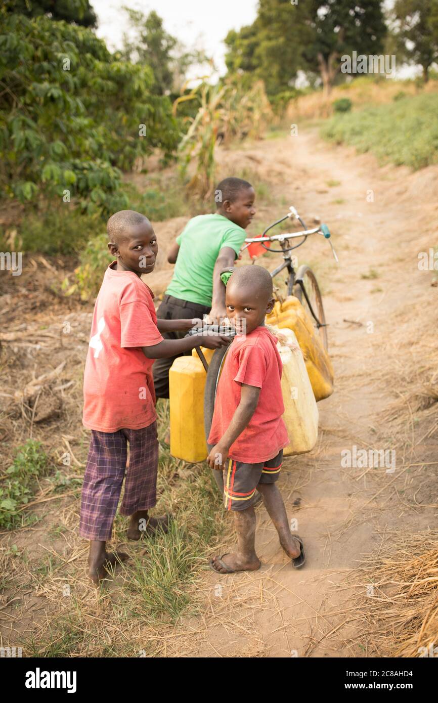 Children use a bicycle to fetch and carry water in a rural village in Rakai District, Uganda, East Africa. Stock Photo