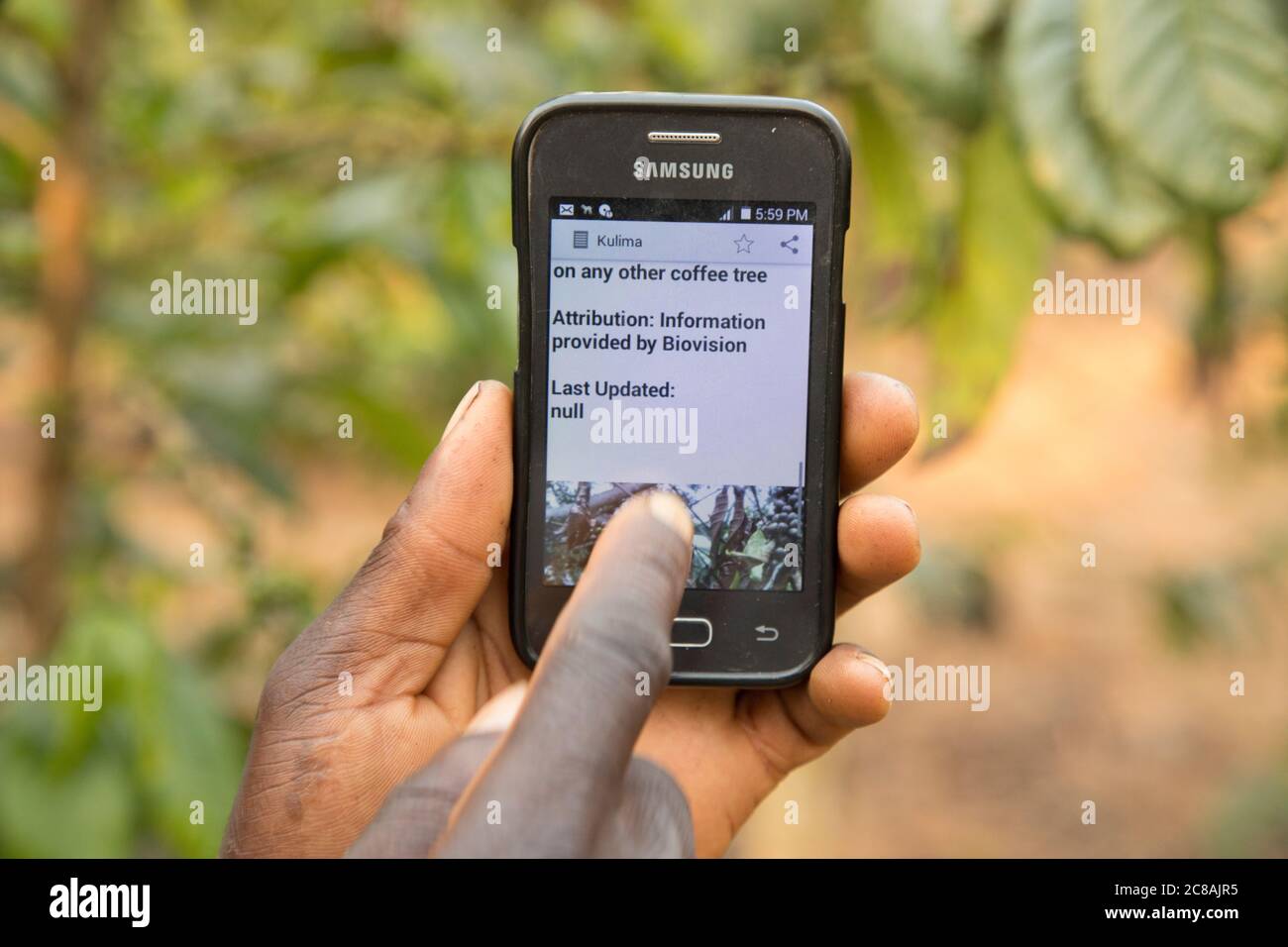 Smart phones with the Kulima ('to farm') application help farmers increase production, diagnose crop diseases and access markets - Uganda, Africa. Stock Photo