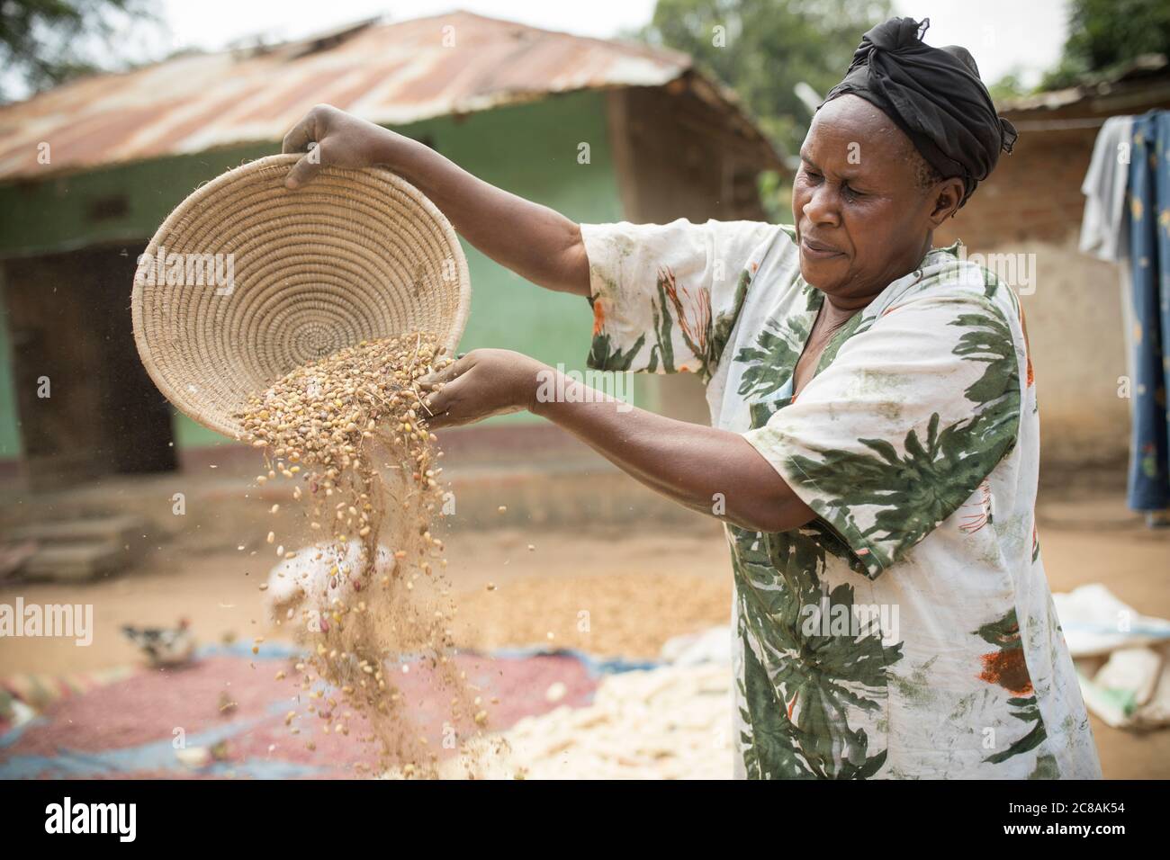 A woman African smallholder farmer winnows and dries her maize and bean