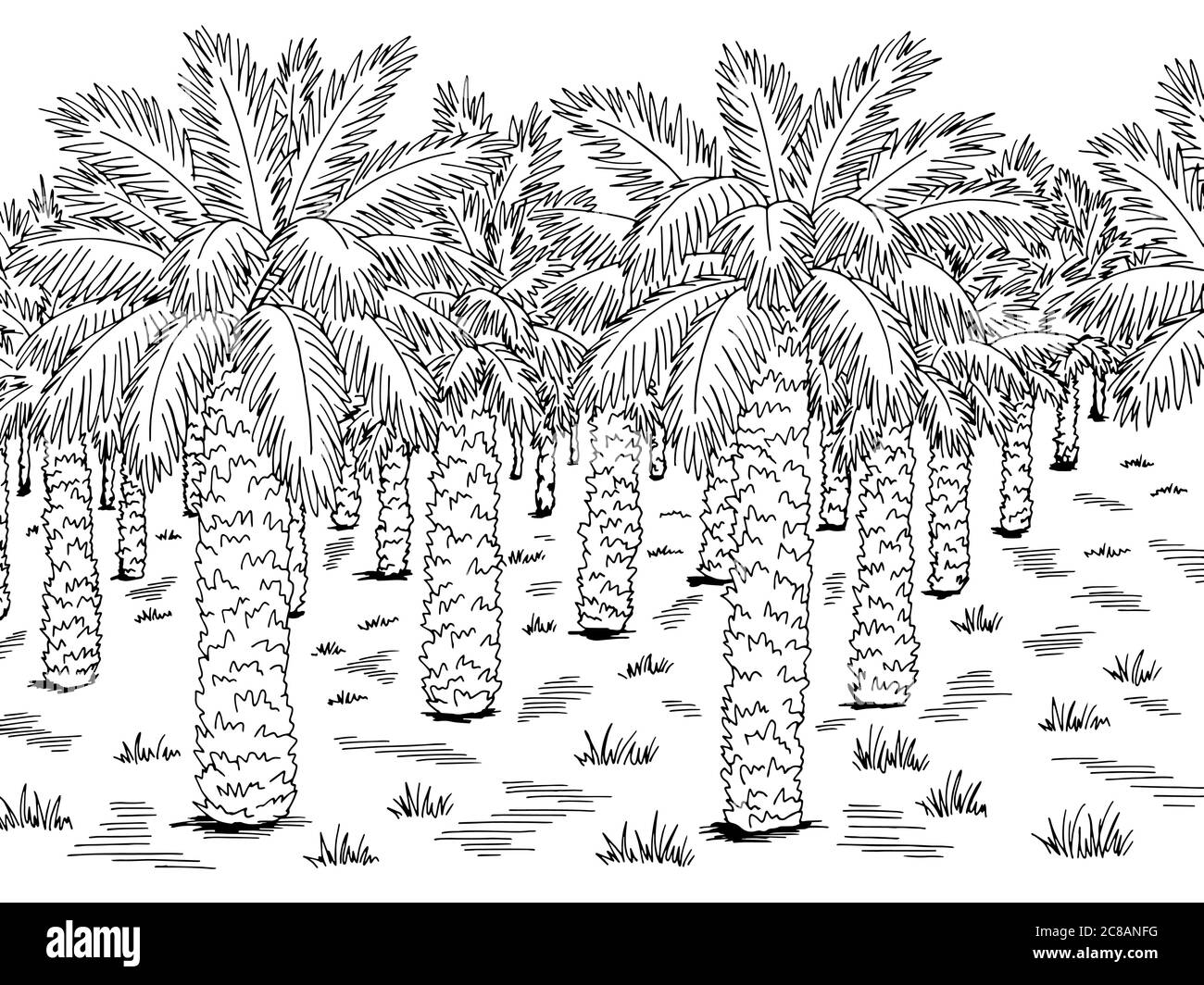 Oil palm plantation Stock Vector Images - Alamy