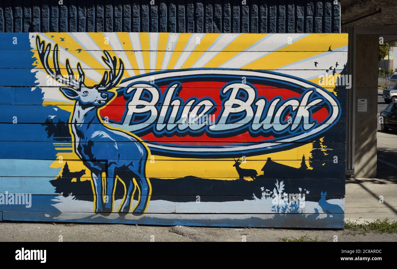 Company sign promoting their Blue Buck brand ale in the parking lot outside  the Phillips Brewing and Malting Co. brewery in Victoria, British Columbi  Stock Photo - Alamy