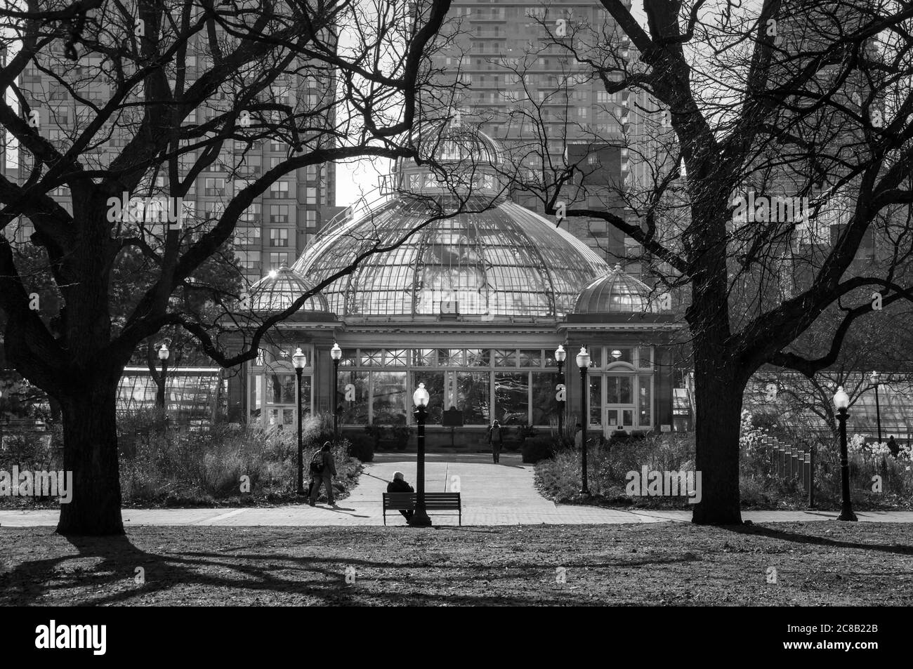 Early spring sunset in Toronto Allan Gardens Park with a greenhouse in front of high rise buildings. Monochrome Stock Photo