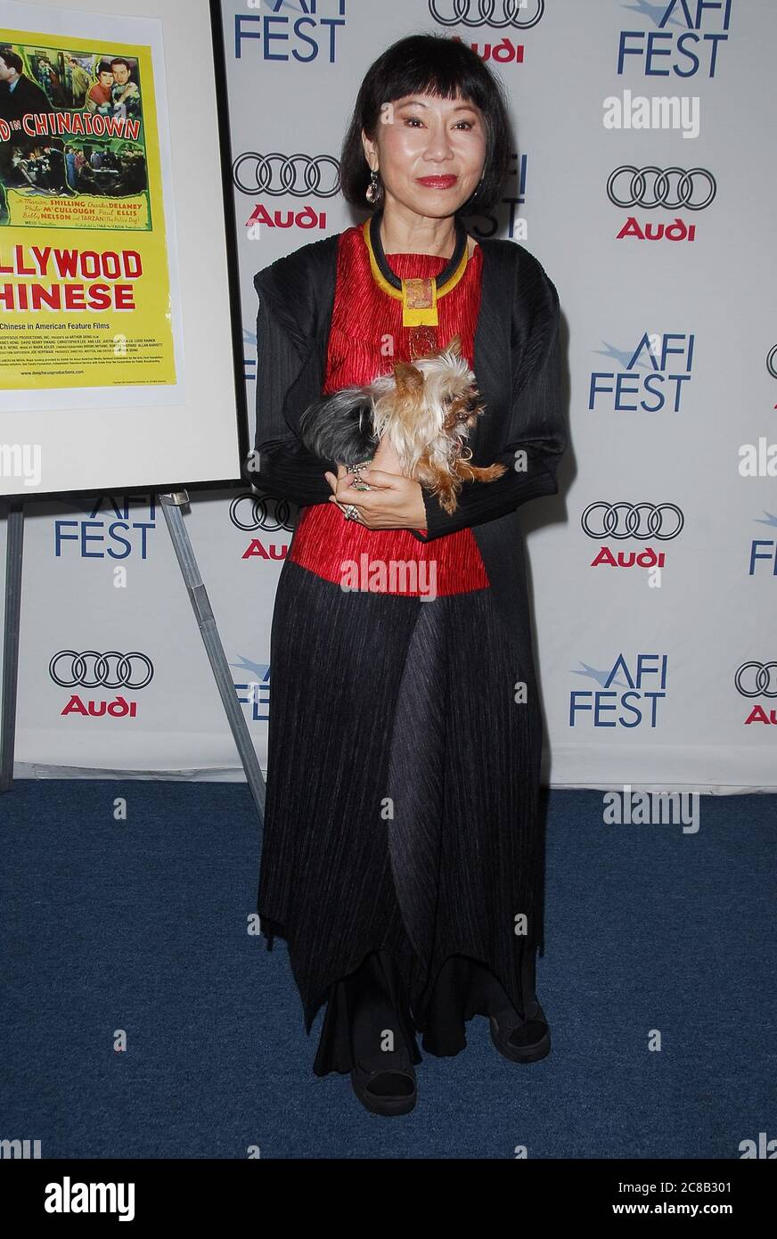 Amy tan hi-res stock photography and images - Alamy