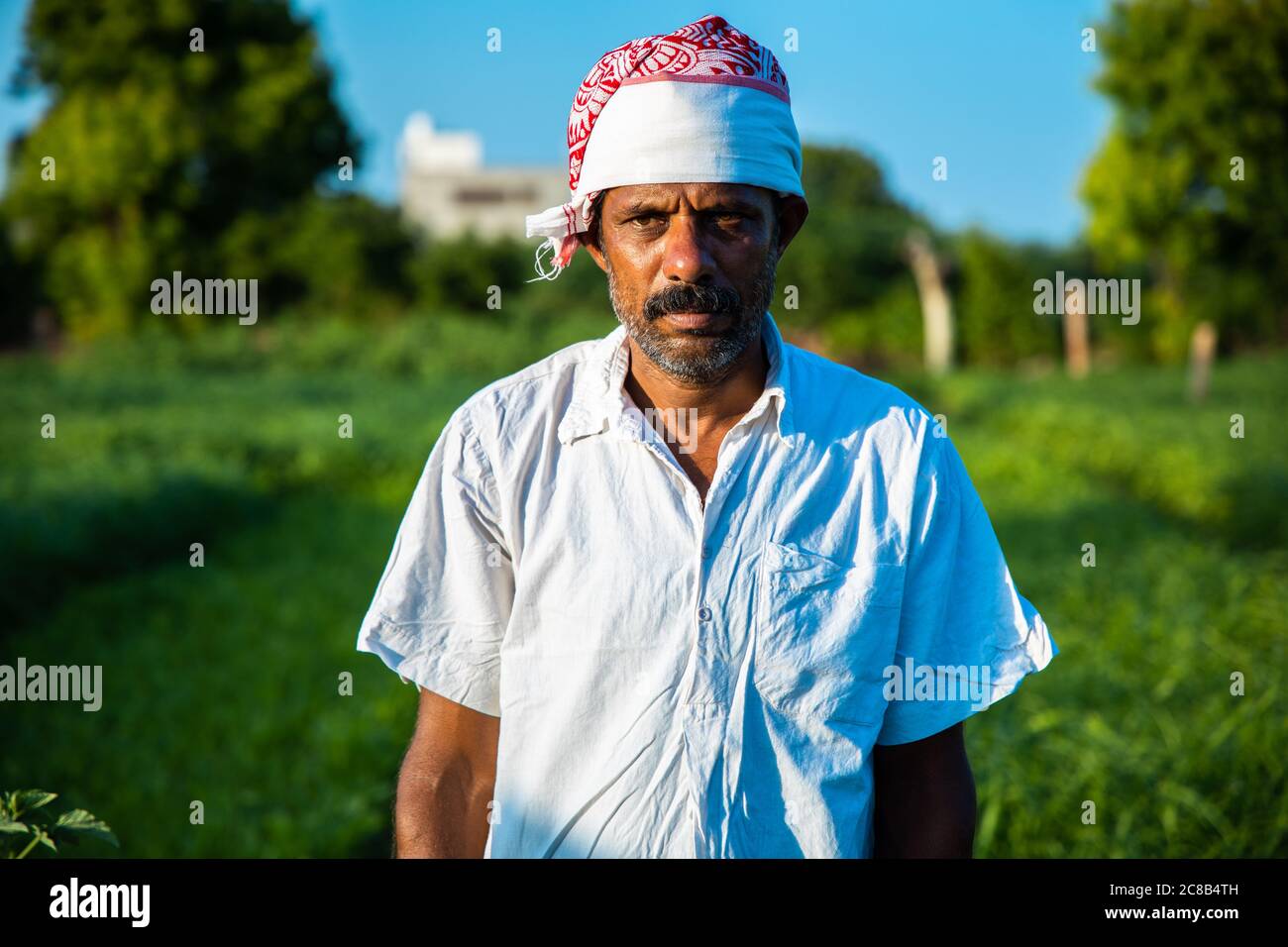 Indian farmer white turban in hi-res stock photography and images - Alamy