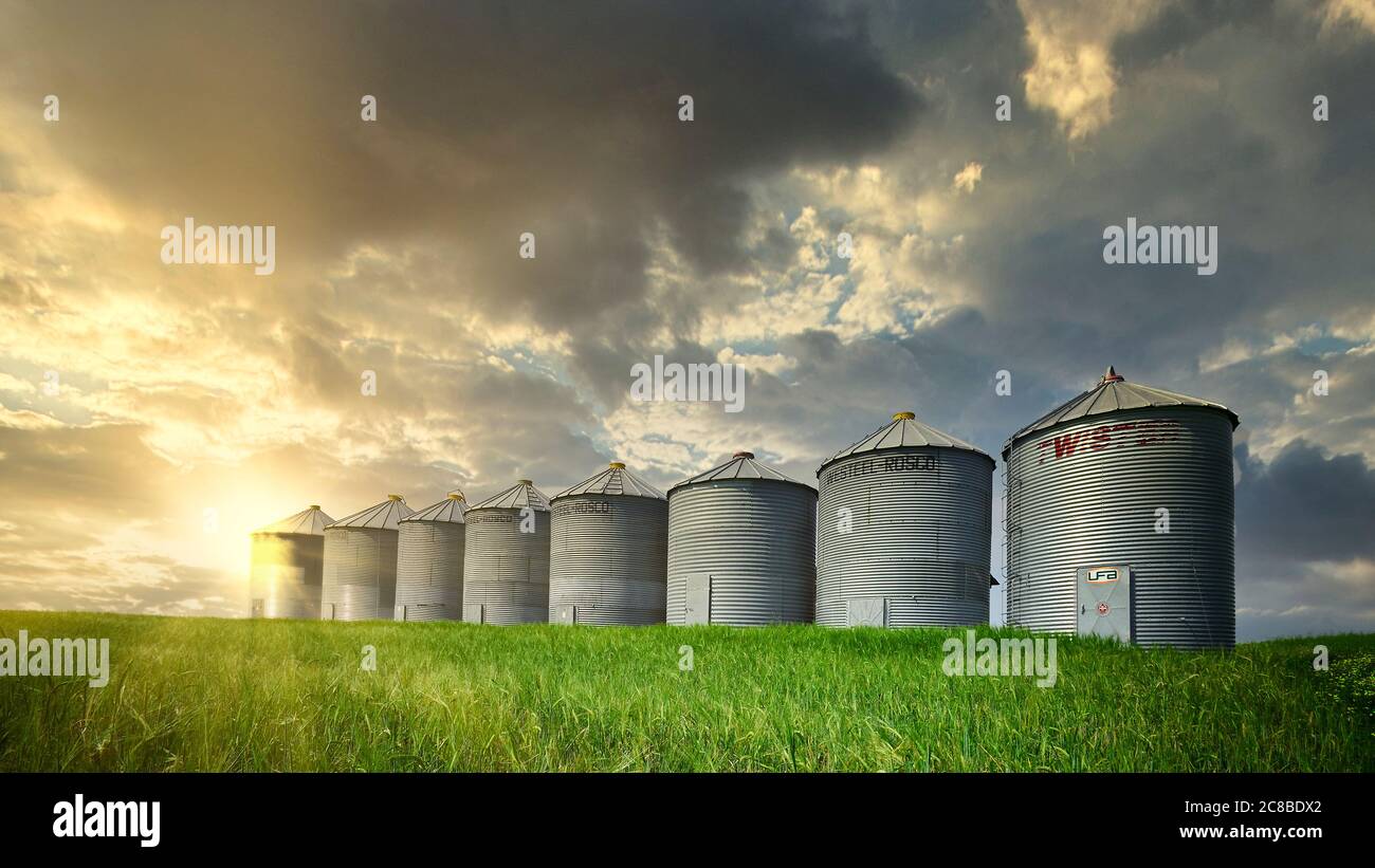 Alberta Grain bins on the prairie Stock Photo