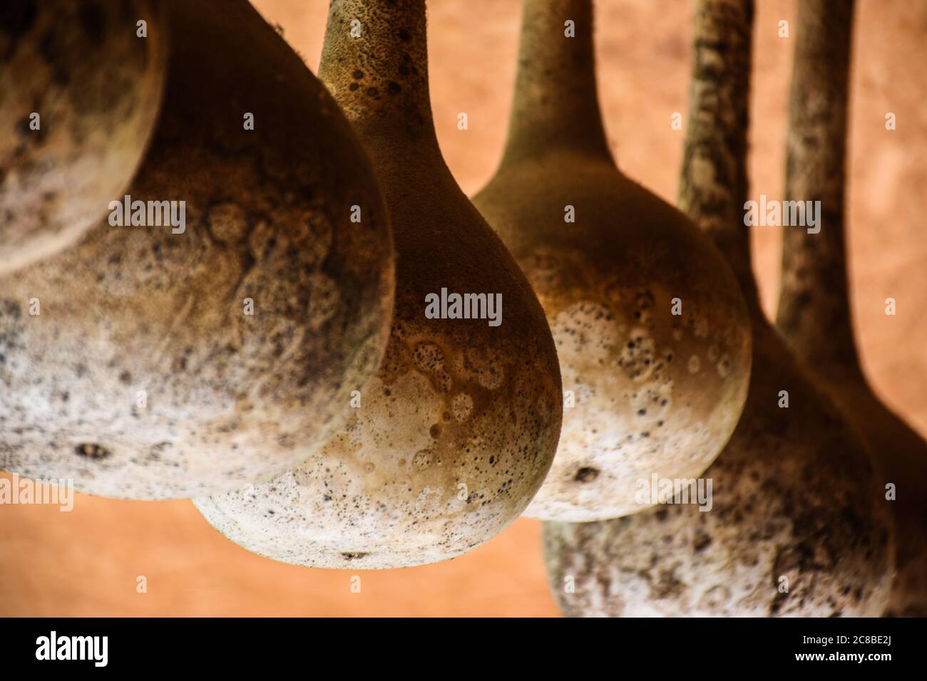 Hanging gourds hires stock photography and images Alamy