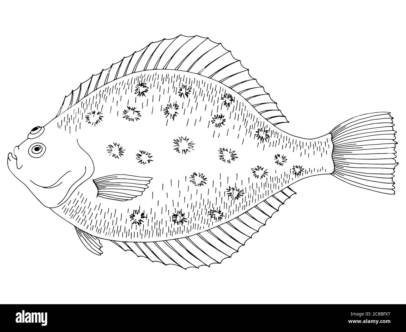 Flounder fish graphic black white isolated illustration vector Stock Vector