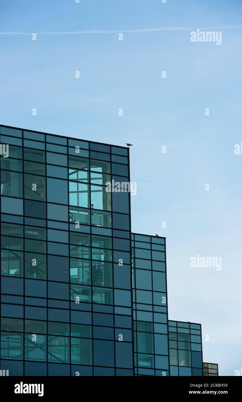 Glass facade of a high rise office building Stock Photo - Alamy